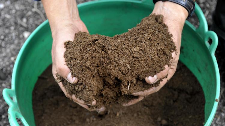 Hands with soil