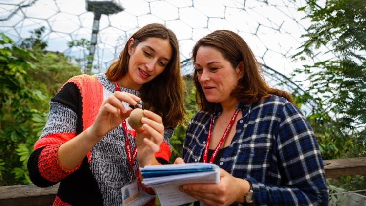 Horticulture students in the Rainforest Biome