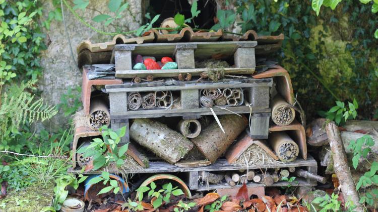  A close up of a bug hotel