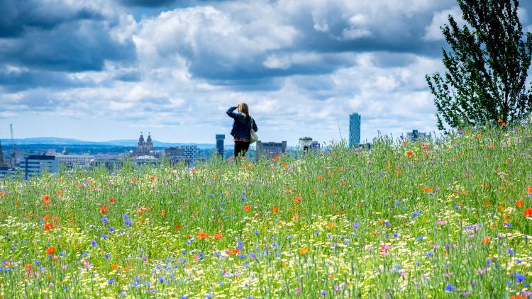 Woman standing in wildflowers in Liverpool
