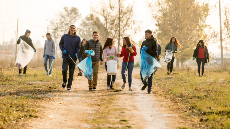 Group of young adults litter picking
