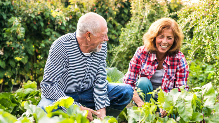 A man and a woman laughing together in an allotment
