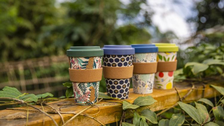 A selection of reusable drinking cups arranged on a bench in nature