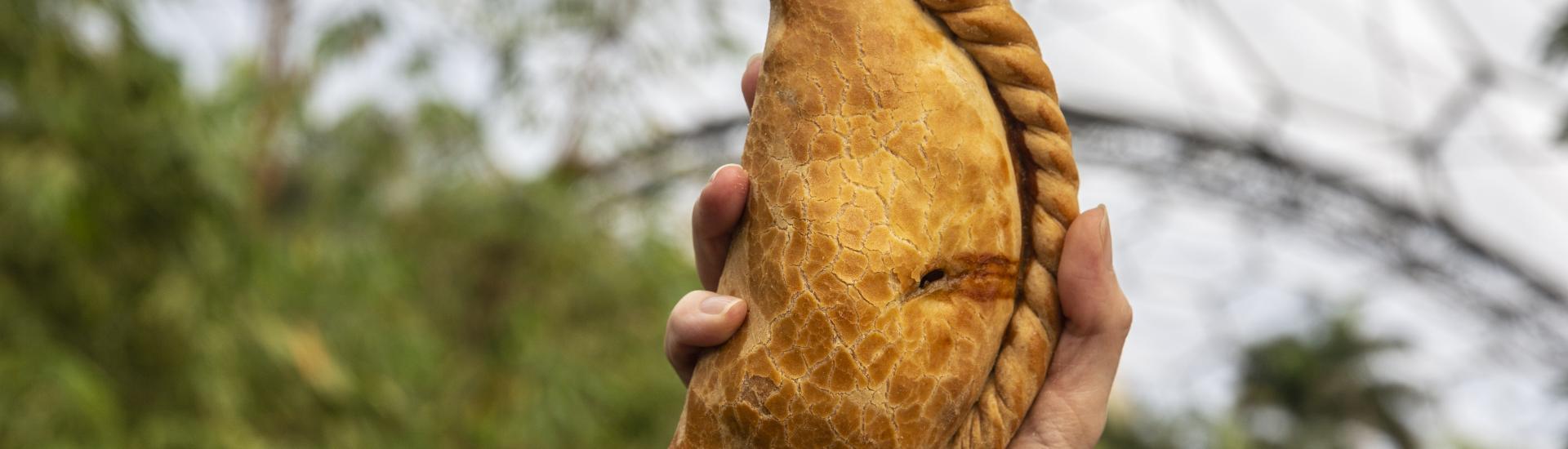 Hand holding Cornish pasty at Eden Project
