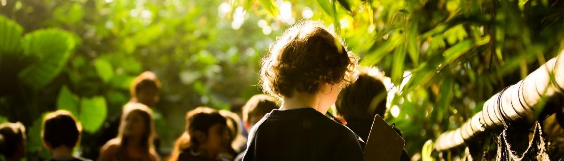 group of children looking at plants