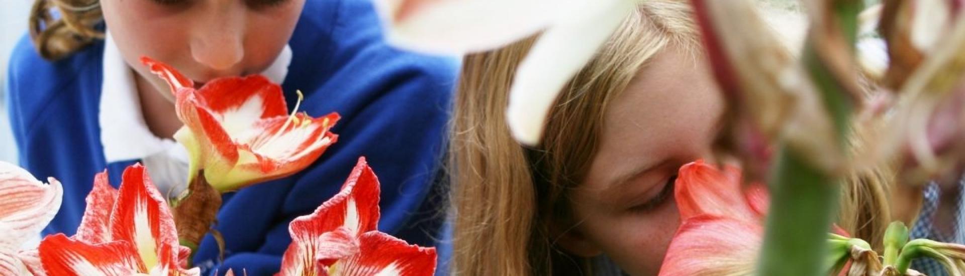 school children smelling flowers