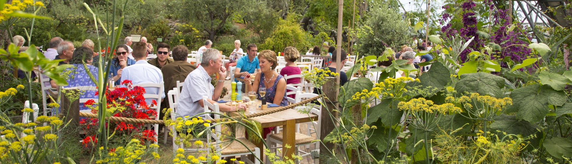 People dining in the Eden Project's Mediterranean Biome