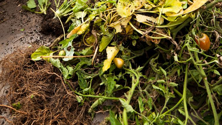 A close up of a compost heap with the gardens in the background