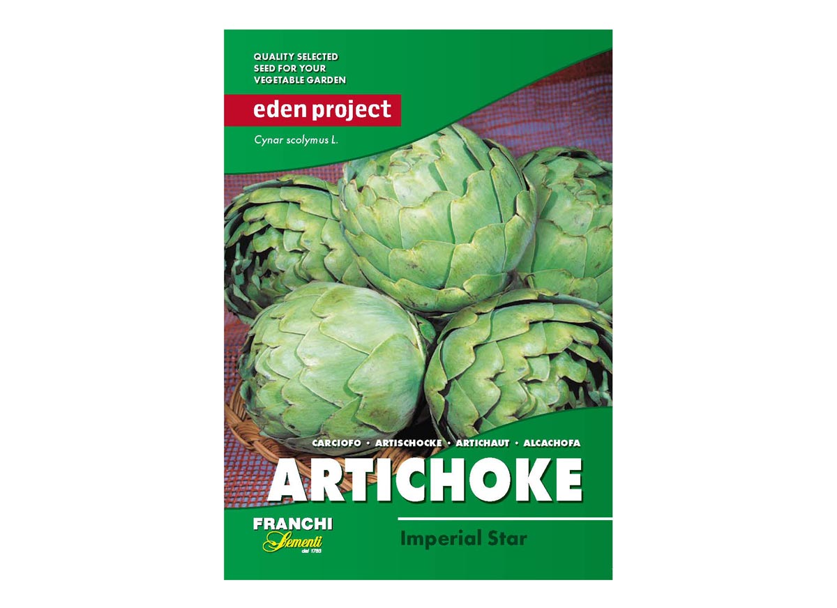 Eden Project artichoke imperial star seeds