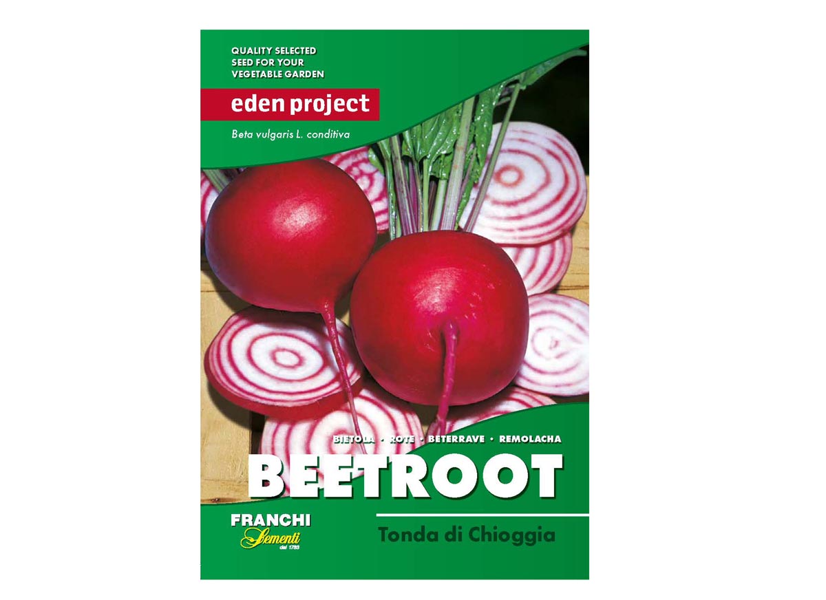 Eden Project beetroot tonda di chioggia seeds