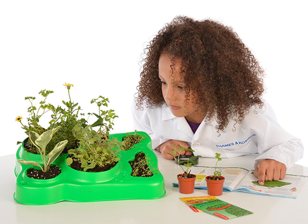 botany experimental greenhouse science kit