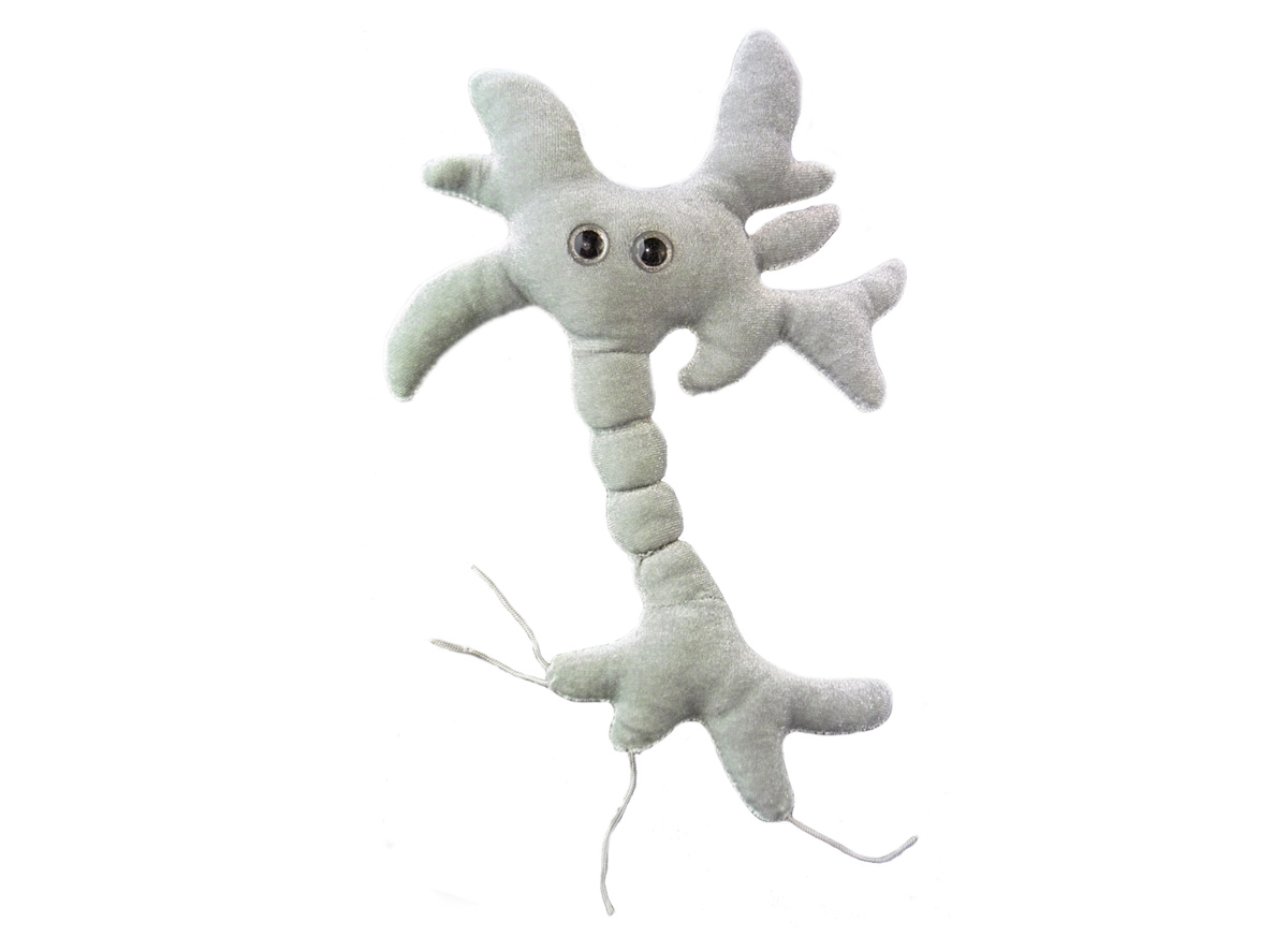 giant microbes antibody
