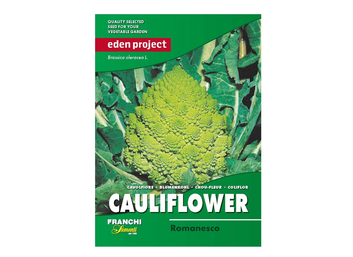 Eden Project cauliflower romanesco seeds