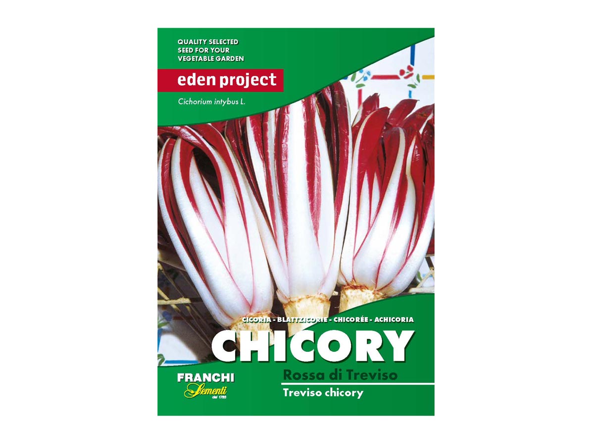 Eden Project chicory rossa di treviso seeds