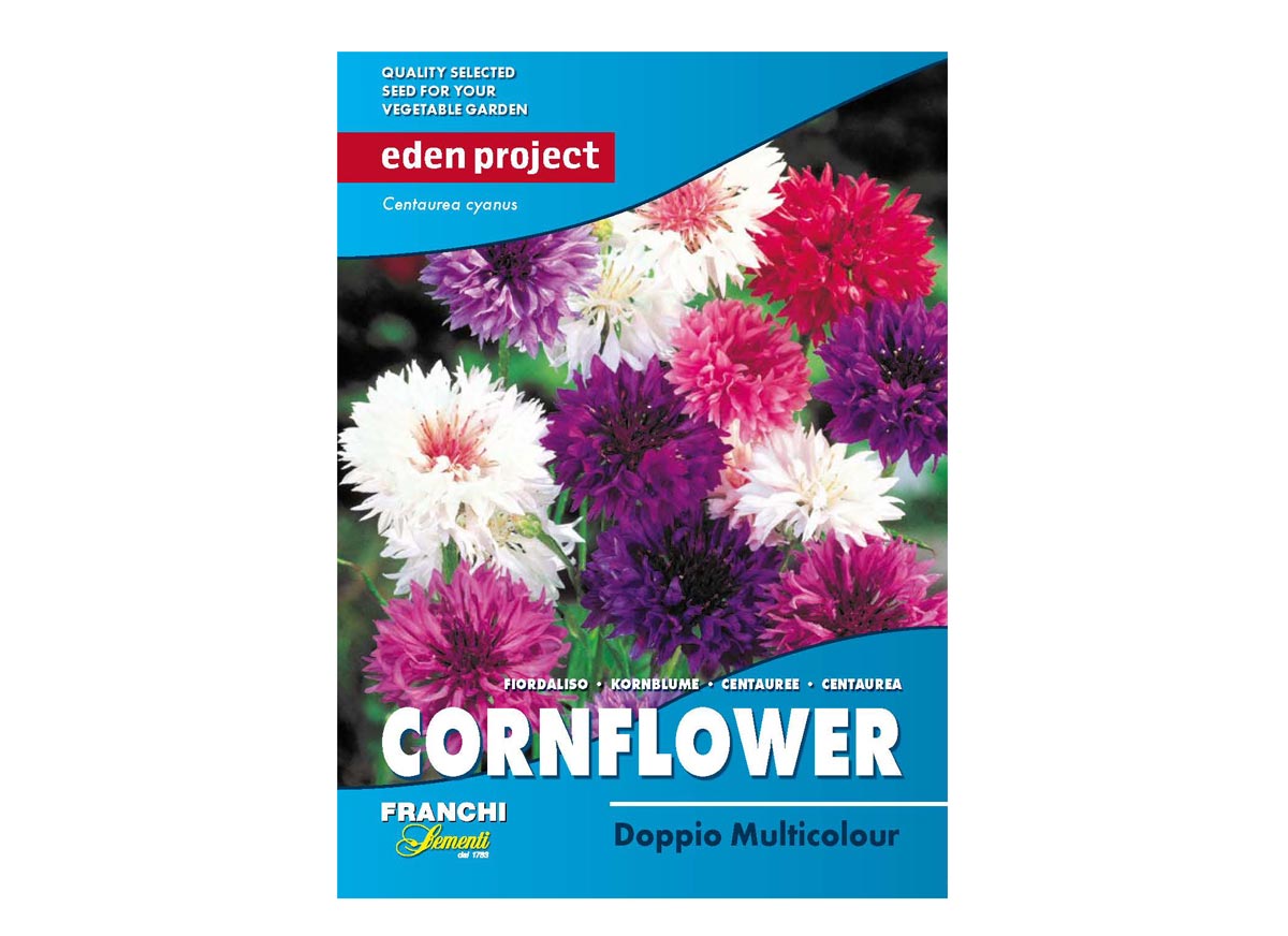 Eden Project cornflower multicolour seeds
