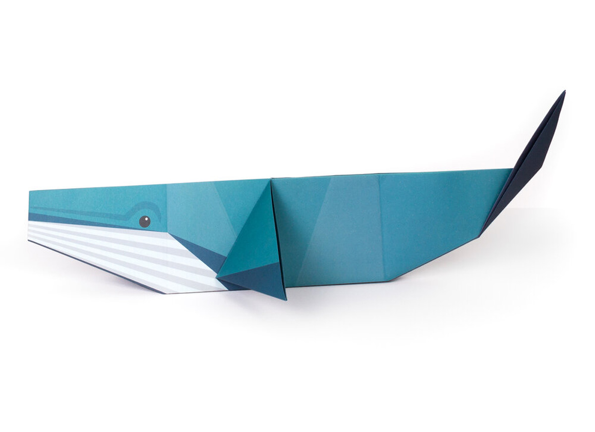Create your own giant ocean origami | Eden Project Shop