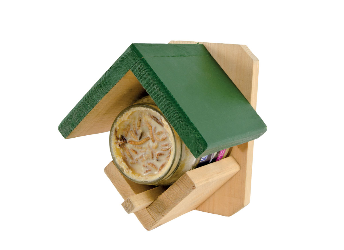 Dublin Wooden Peanut Butter Feeder Eden Project Shop