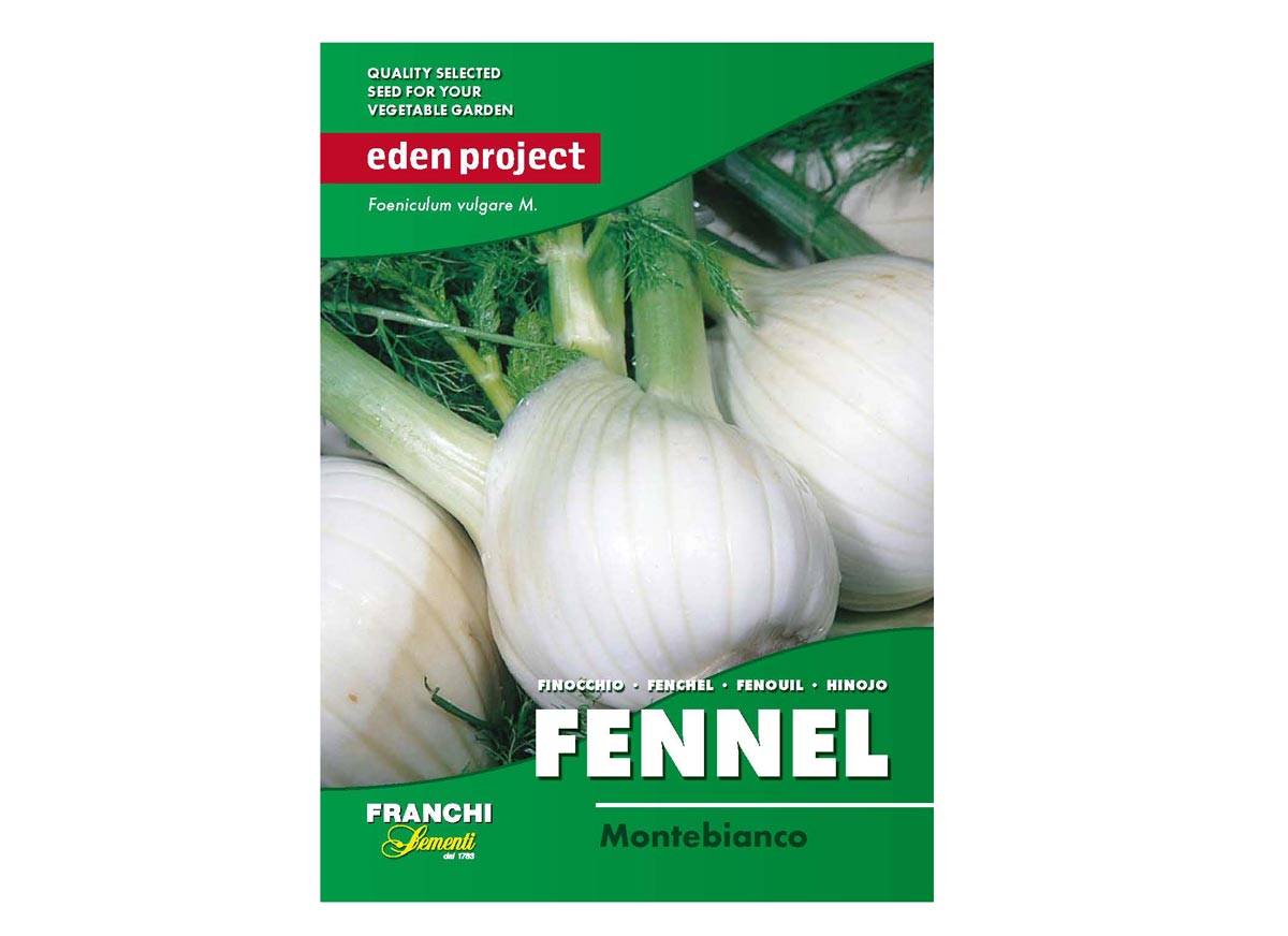 Eden Project fennel montebianco seeds