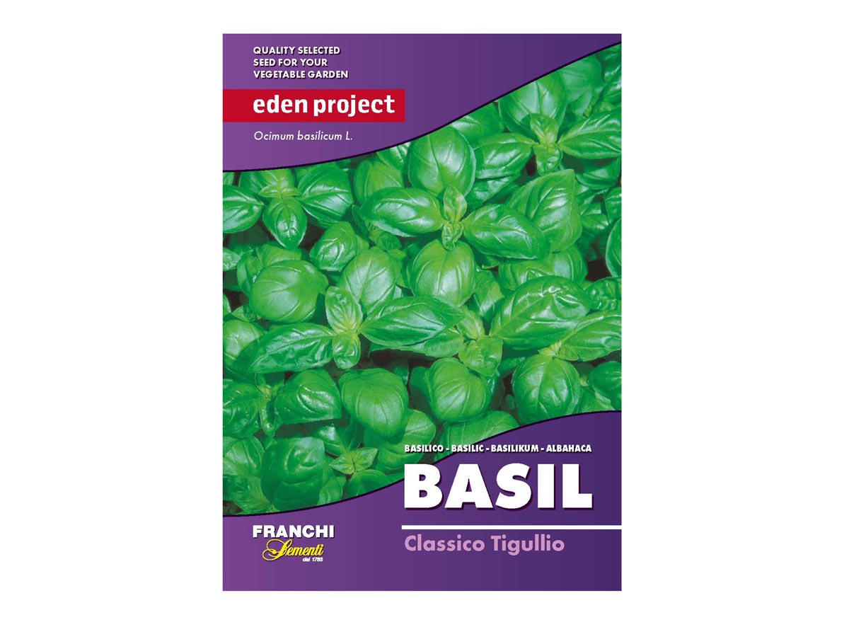 Eden Project basil classico tigullio seeds