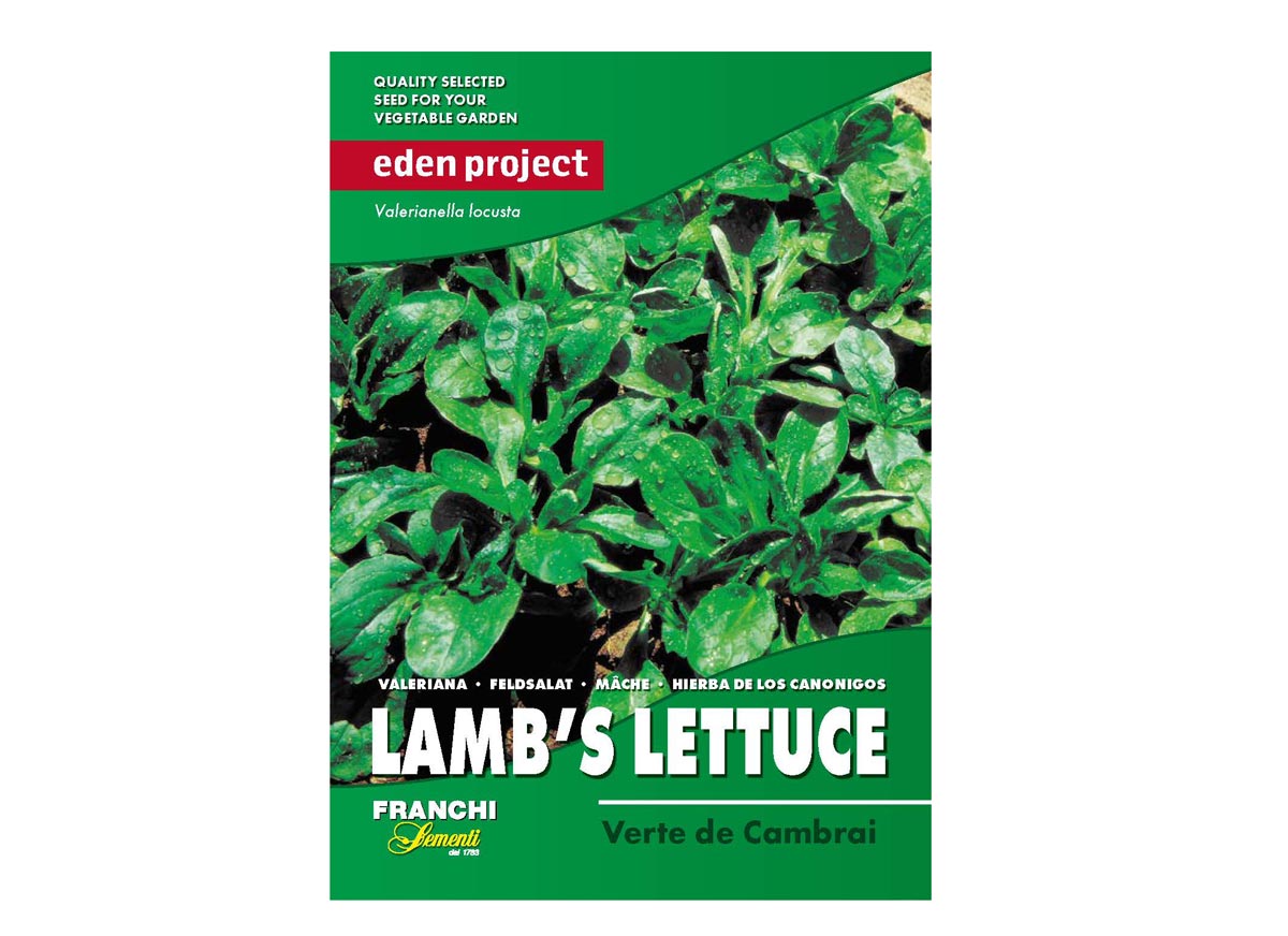 Eden Project lamb's lettuce verte de cambrai seeds