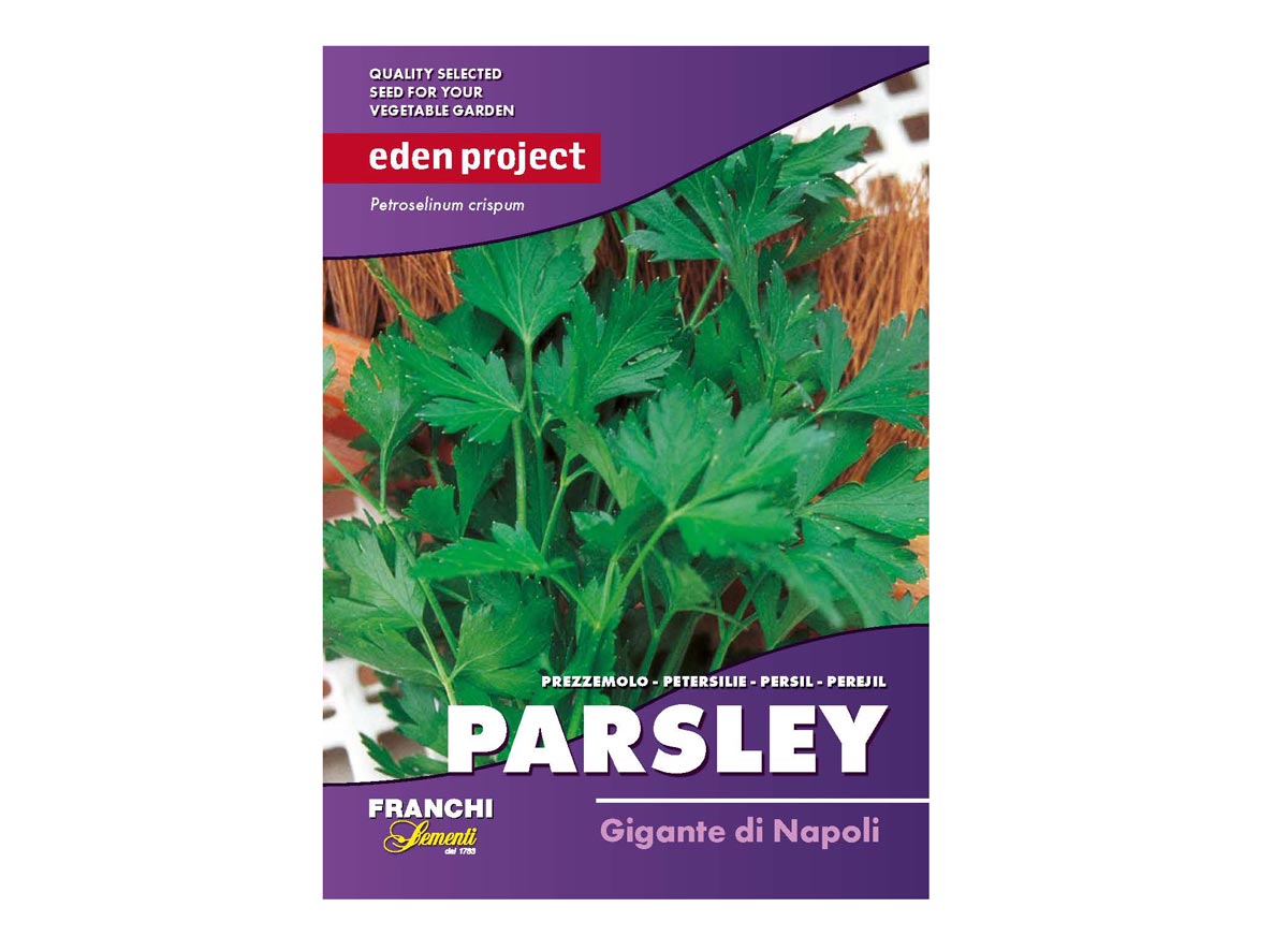 Eden Project parsley gigante di napoli seeds
