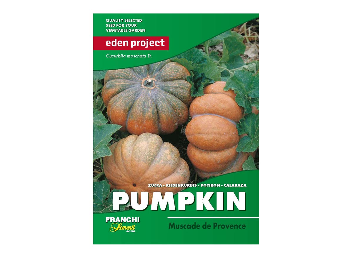 Eden Project pumpkin muscade de provence seeds