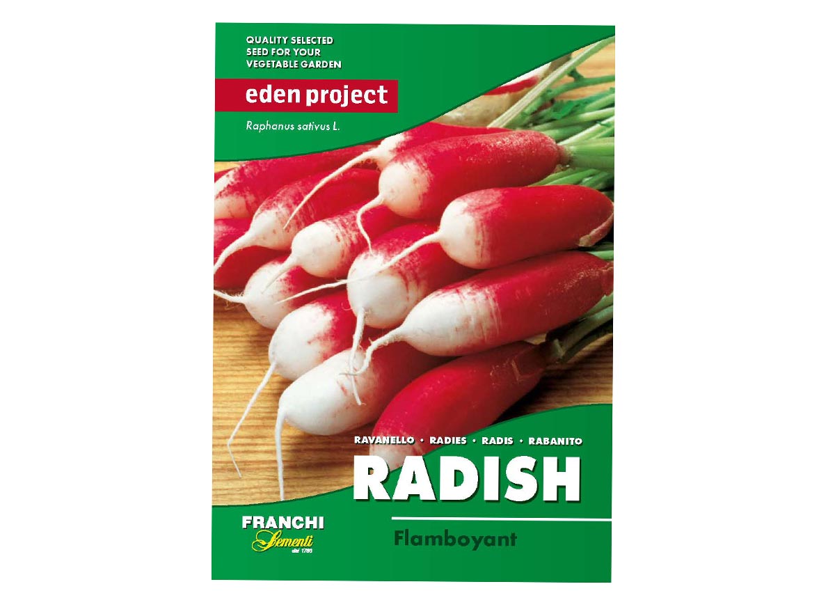 Eden Project radish flamboyant seeds