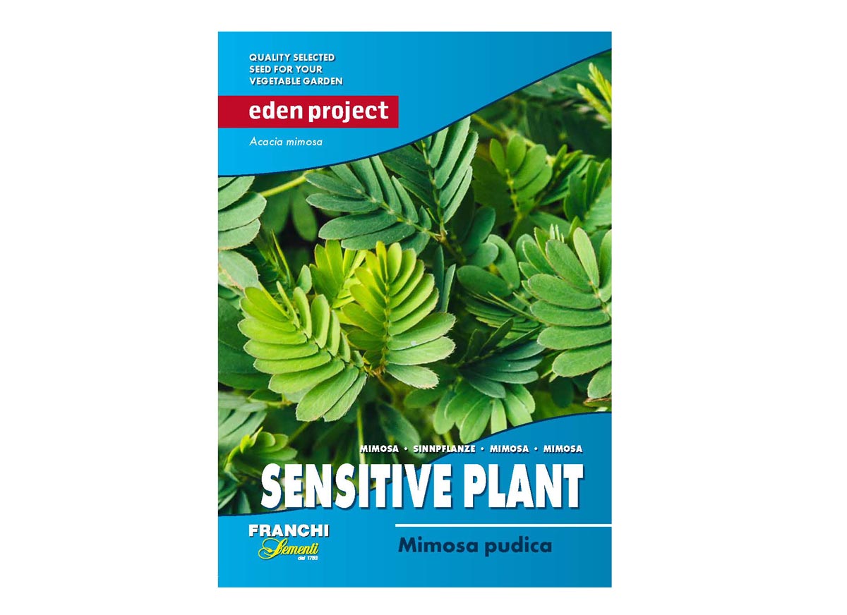 Eden Project sensitive plant seeds