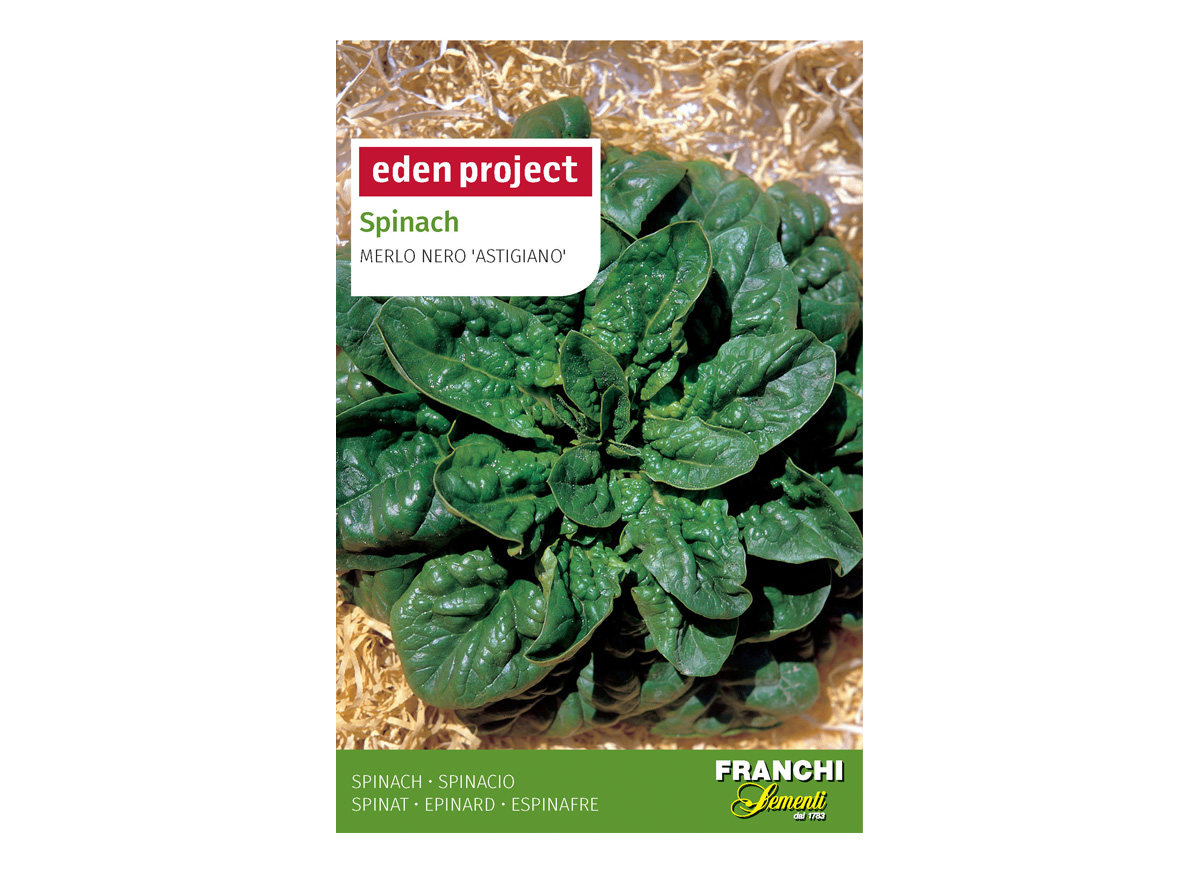 Eden Project spinach merlo nero astigiano seeds