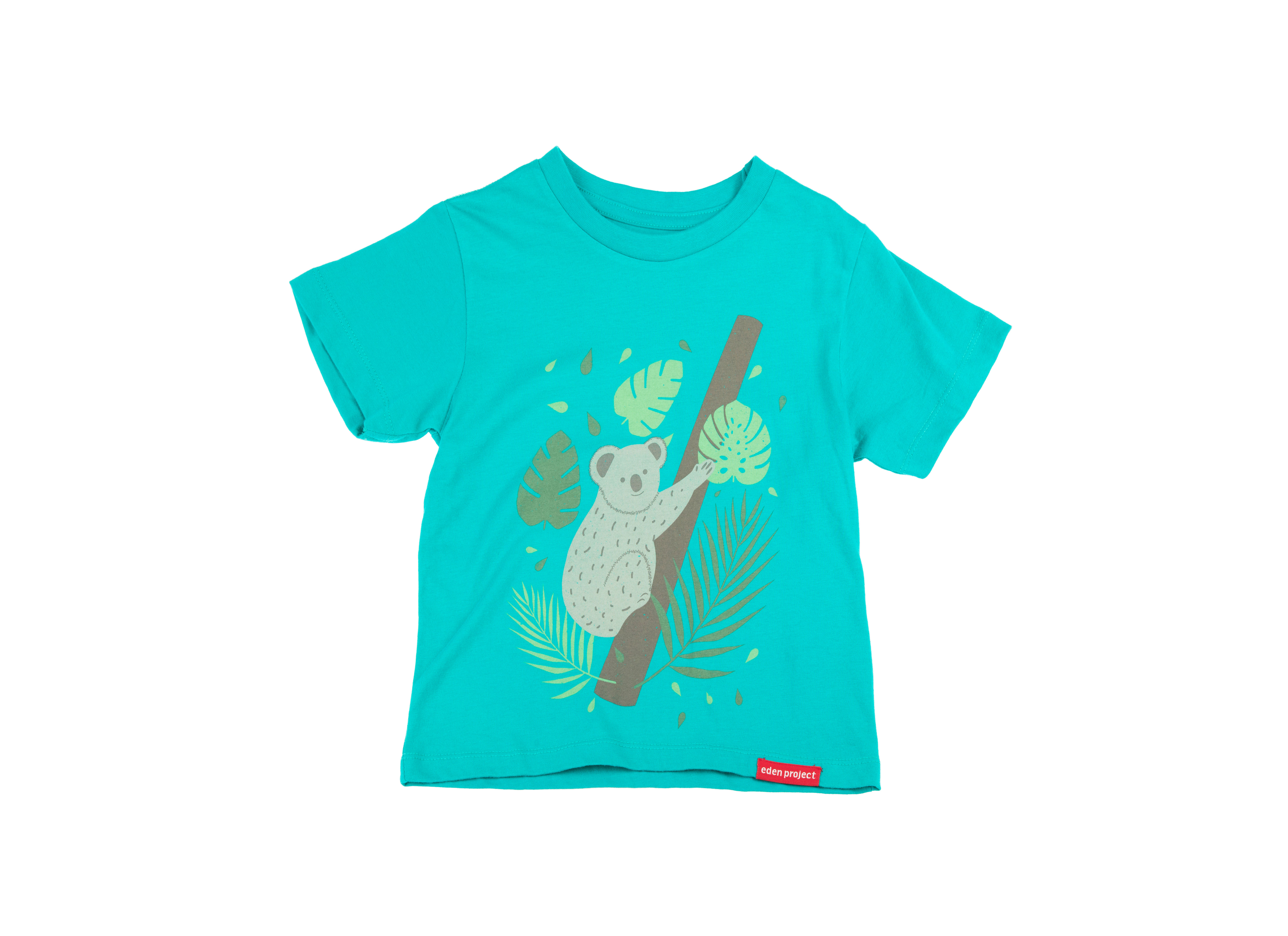 Kid's koala t-shirt (Sea green, 7-8Y)