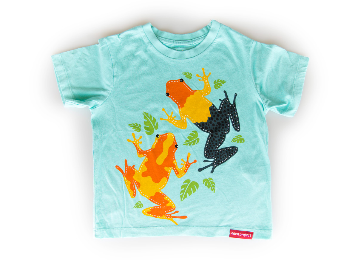Kids tree frog t-shirt (Aqua, 7-8 Years)