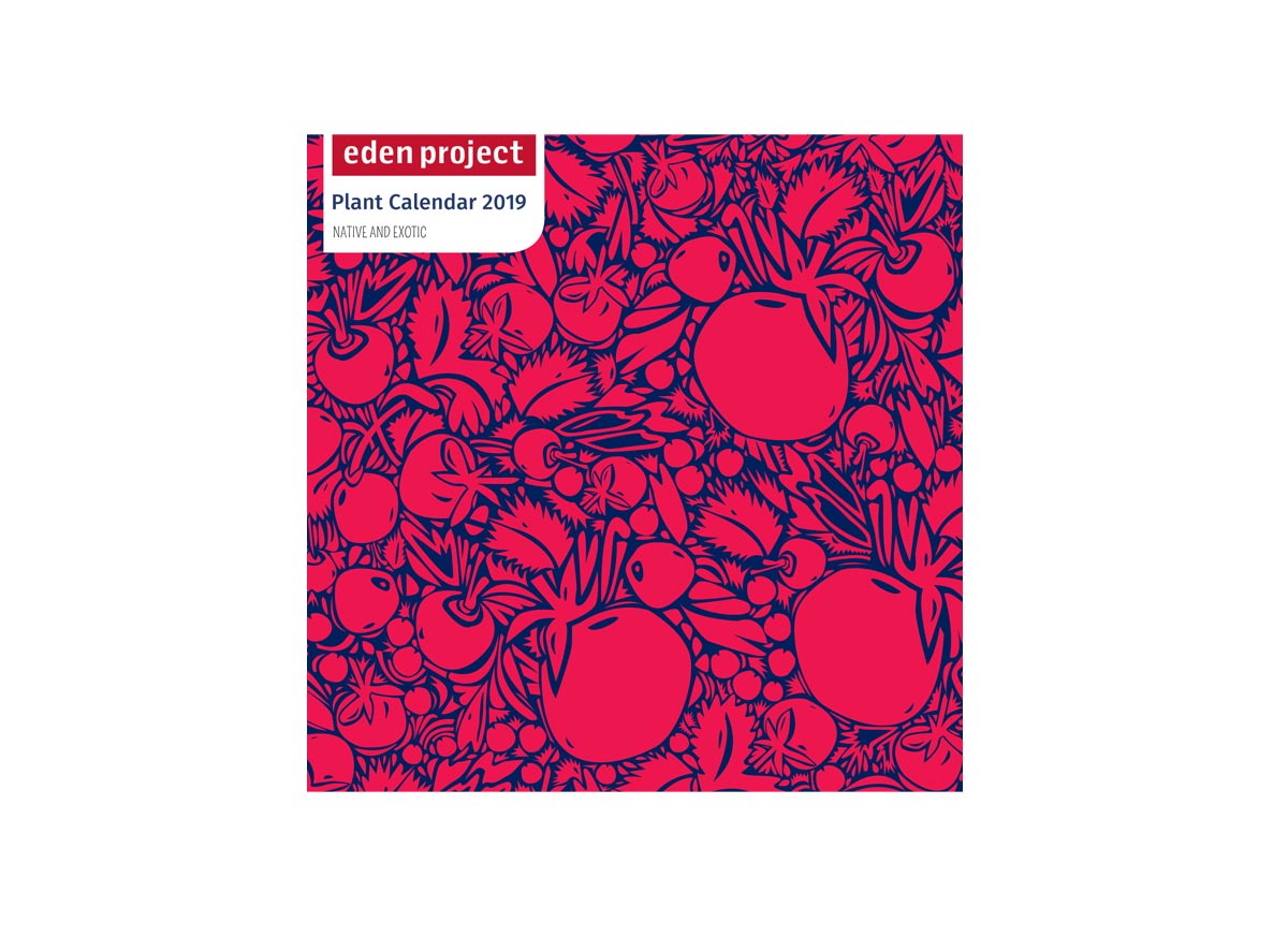 eden project patterned mini wall calendar 2019 eden project shop small 2019 calendar