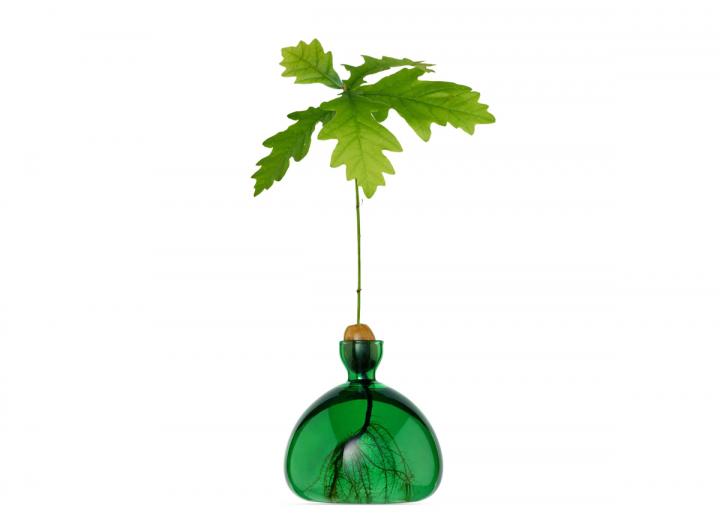 Acorn Vase Emerald Green