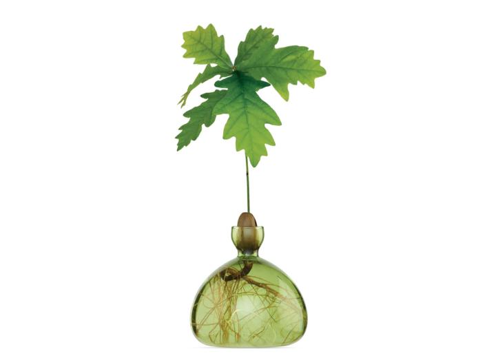 Acorn Vase Grass Green