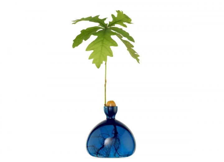 Acorn Vase Lapis Blue
