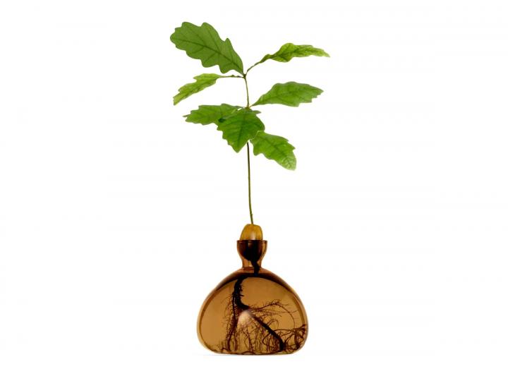 Acorn Vase Russet Brown