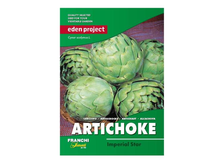 Artichoke ‘Imperial Star’ – Cynar scolymus
