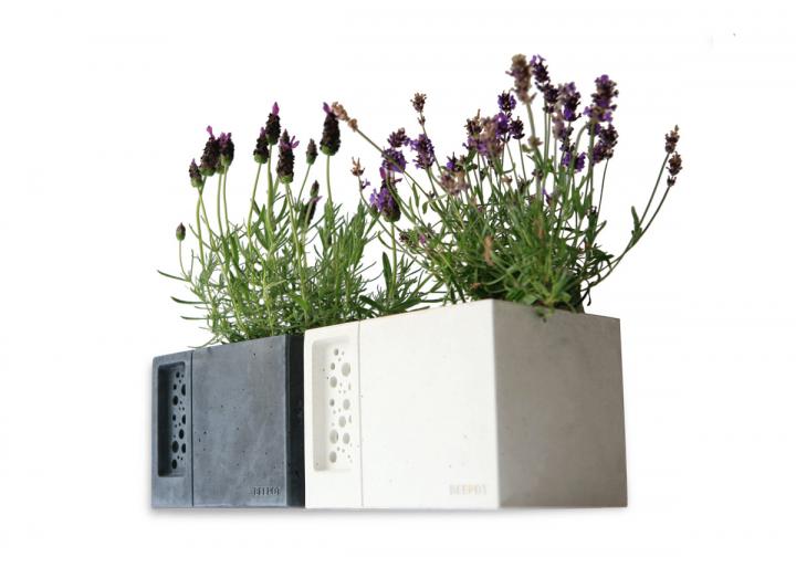 Beepot planter & bee house
