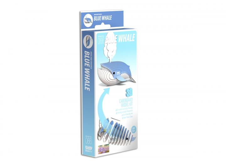 Blue Whale 3D model kit