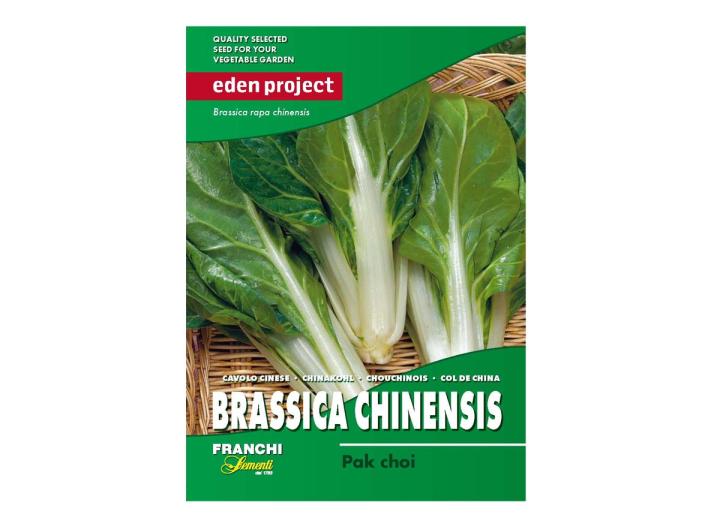 Pak Choi – Brassica rapa chinensis