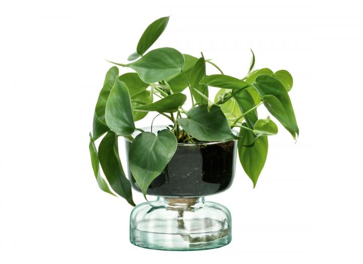Self-watering planter, part of the Canopy range from LSA International
