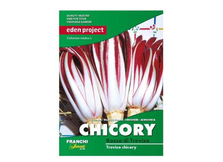 Treviso chicory/blue chicory ‘Rossa di Treviso’ – Cichorium intybus seeds