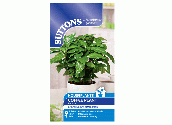 House Plant Seeds Eden Project Shop