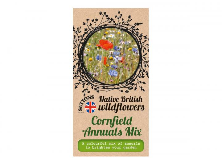 Native British wildflower seeds cornfield annuals mix