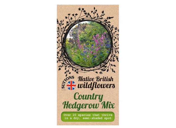 Native British wildflower seeds country hedgerow mix