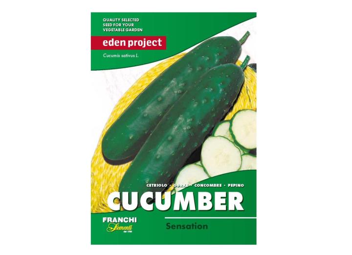 Cucumber ‘Sensation’ – Cucumis sativus