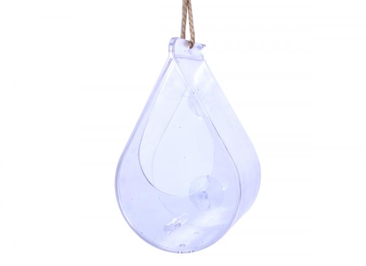 Dewdrop window bird feeder