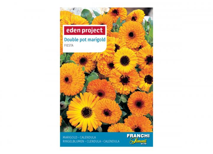 Double pot marigold ‘Fiesta’ – Calendula officinalis seeds