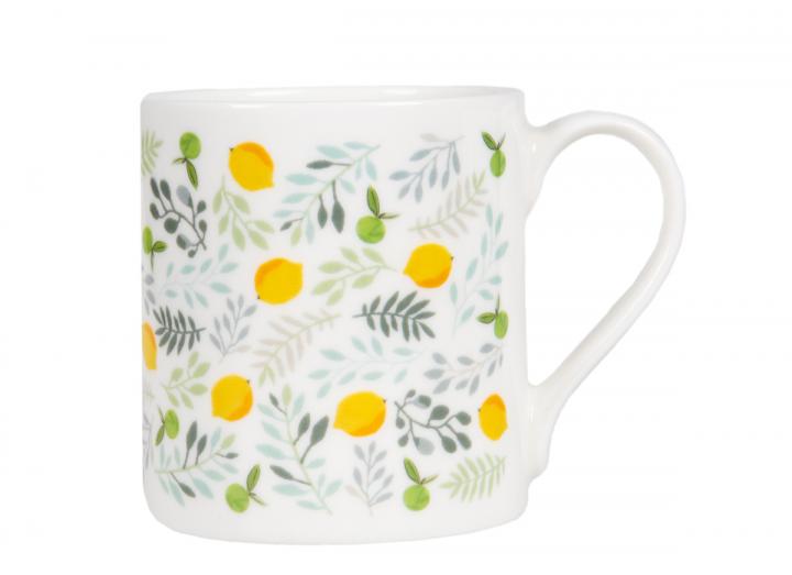 Eden Project Mediterranean print mug