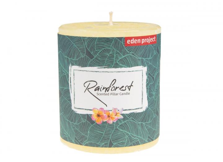 Eden Project rainforest scented pillar candle